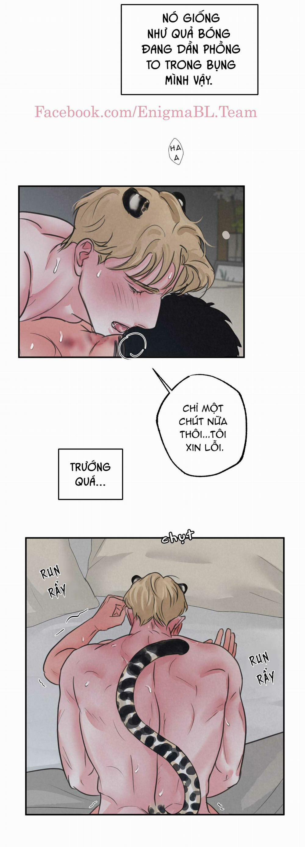 Trò Chơi Safari 4 trang 37