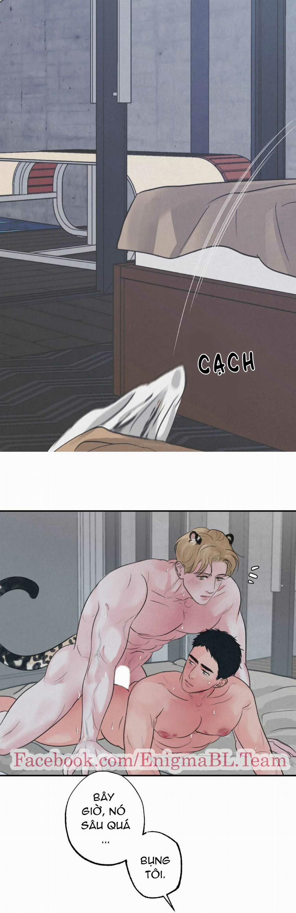 Trò Chơi Safari 4 trang 9