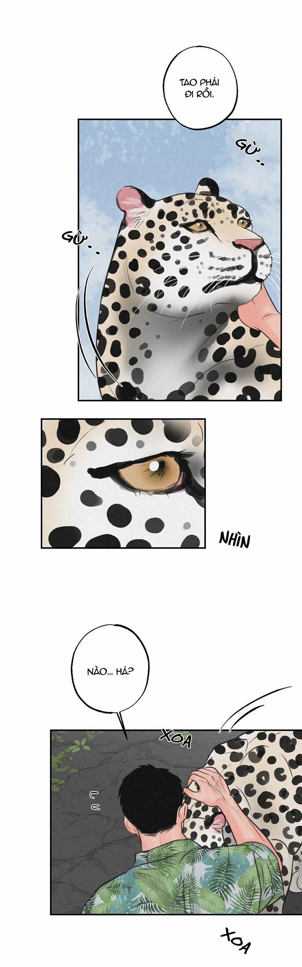 Trò Chơi Safari 6 trang 14