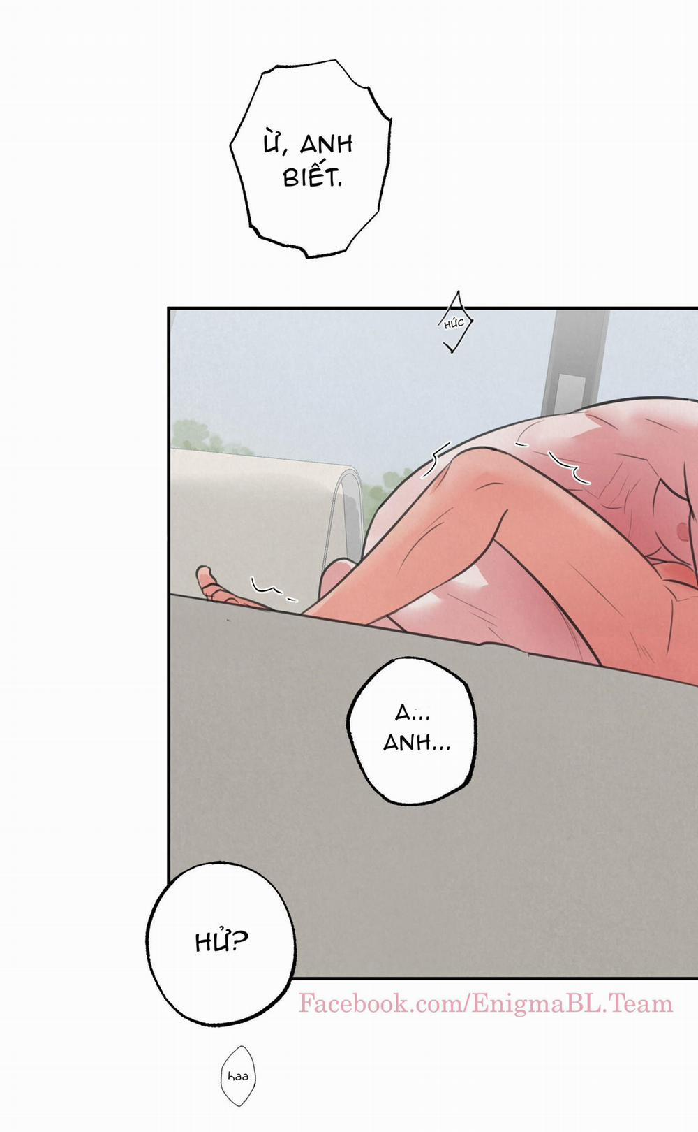 Trò Chơi Safari 8 trang 10