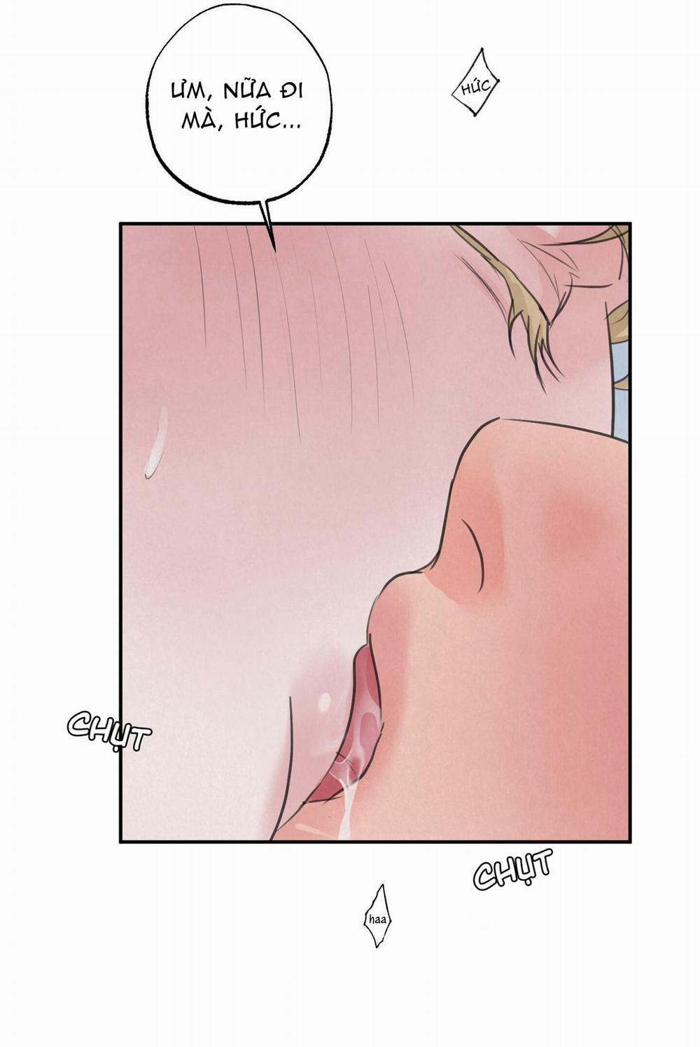 Trò Chơi Safari 8 trang 23