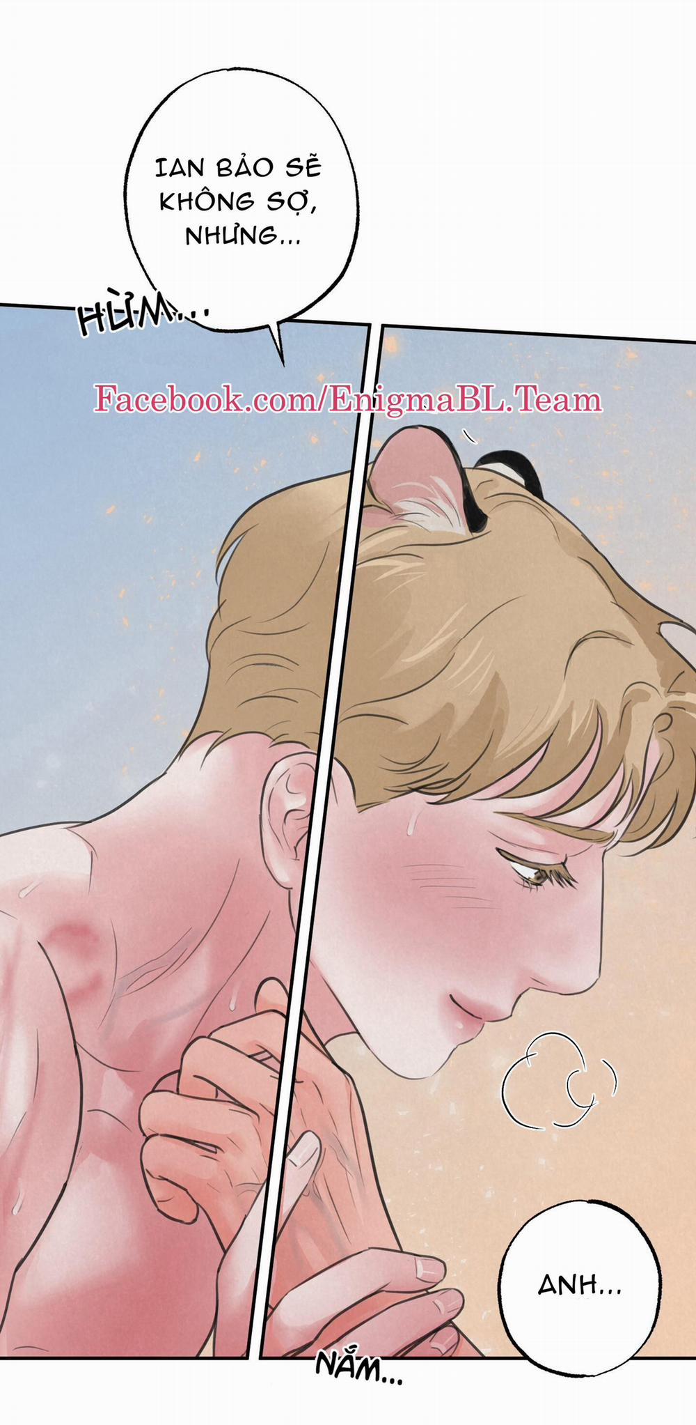 Trò Chơi Safari 8 trang 29