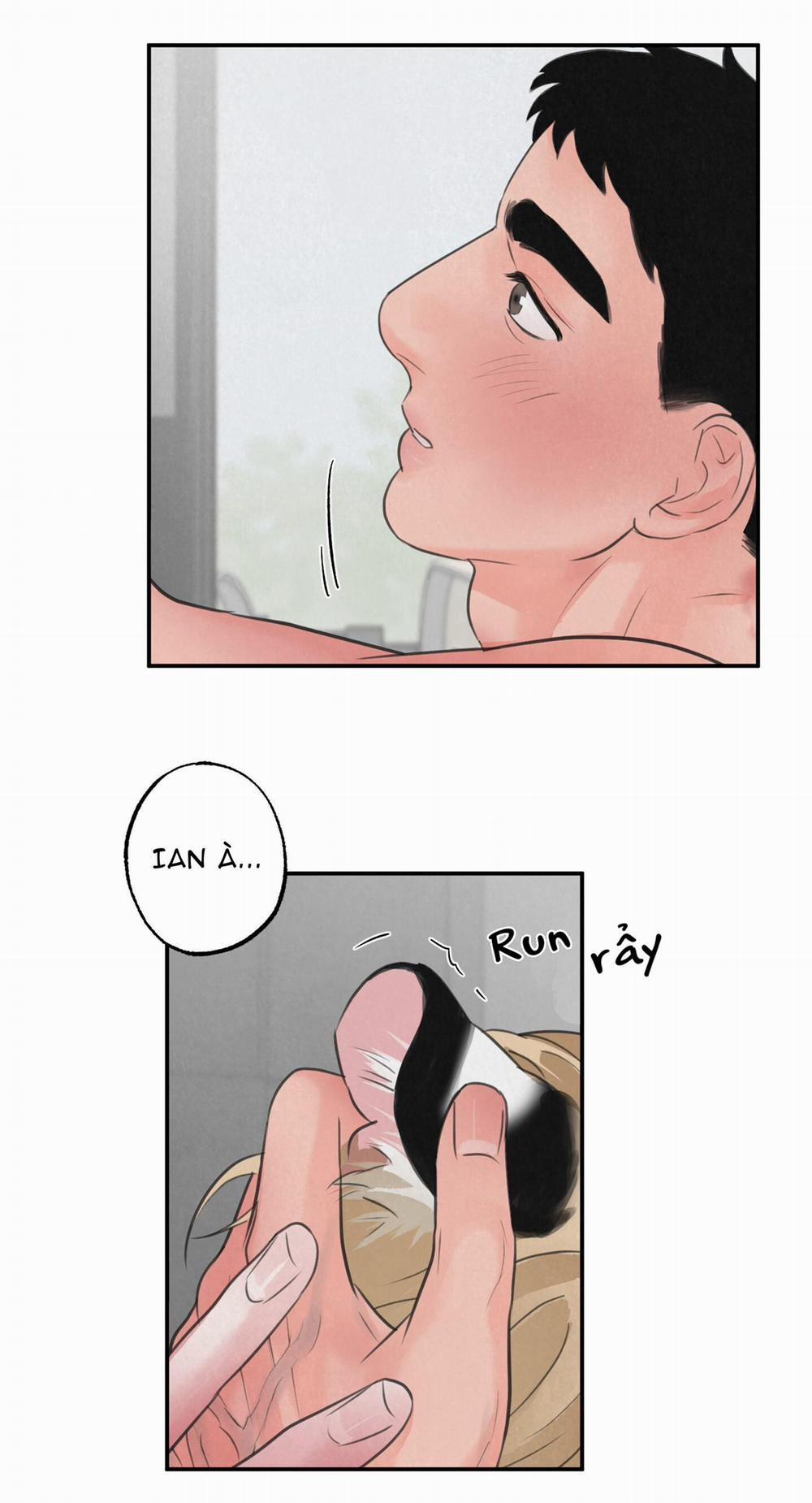 Trò Chơi Safari 8 trang 31