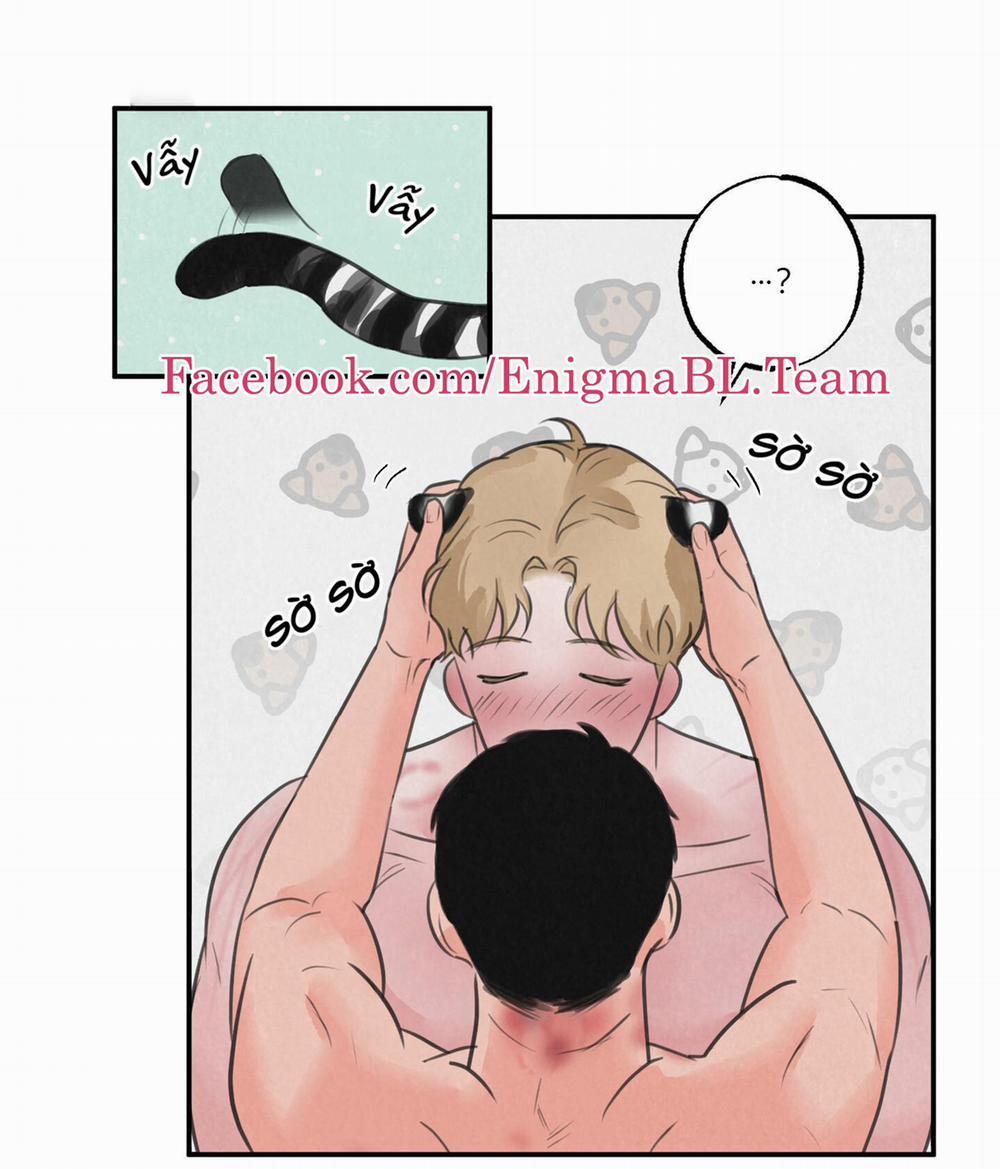 Trò Chơi Safari 8 trang 32