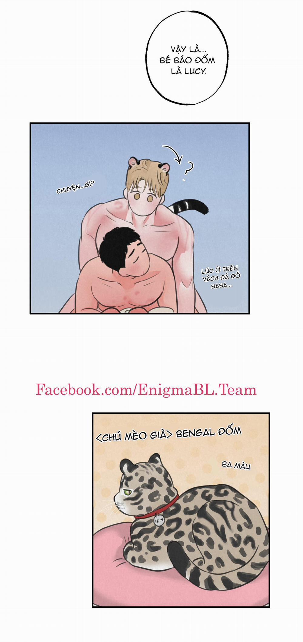 Trò Chơi Safari 9 trang 17