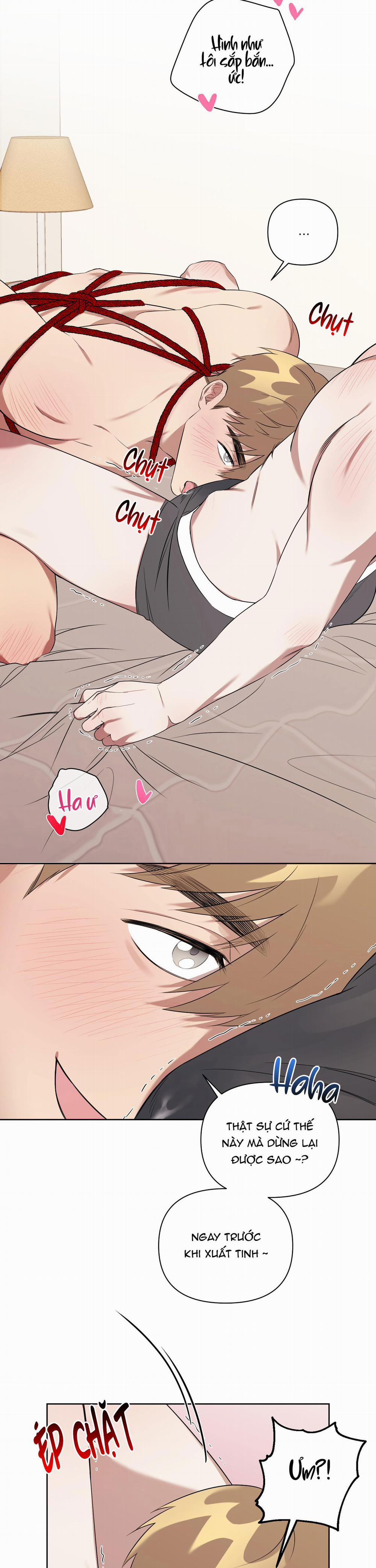 TRỢ GIẢNG ƠI, BỊ LỪA RỒI 5 trang 3