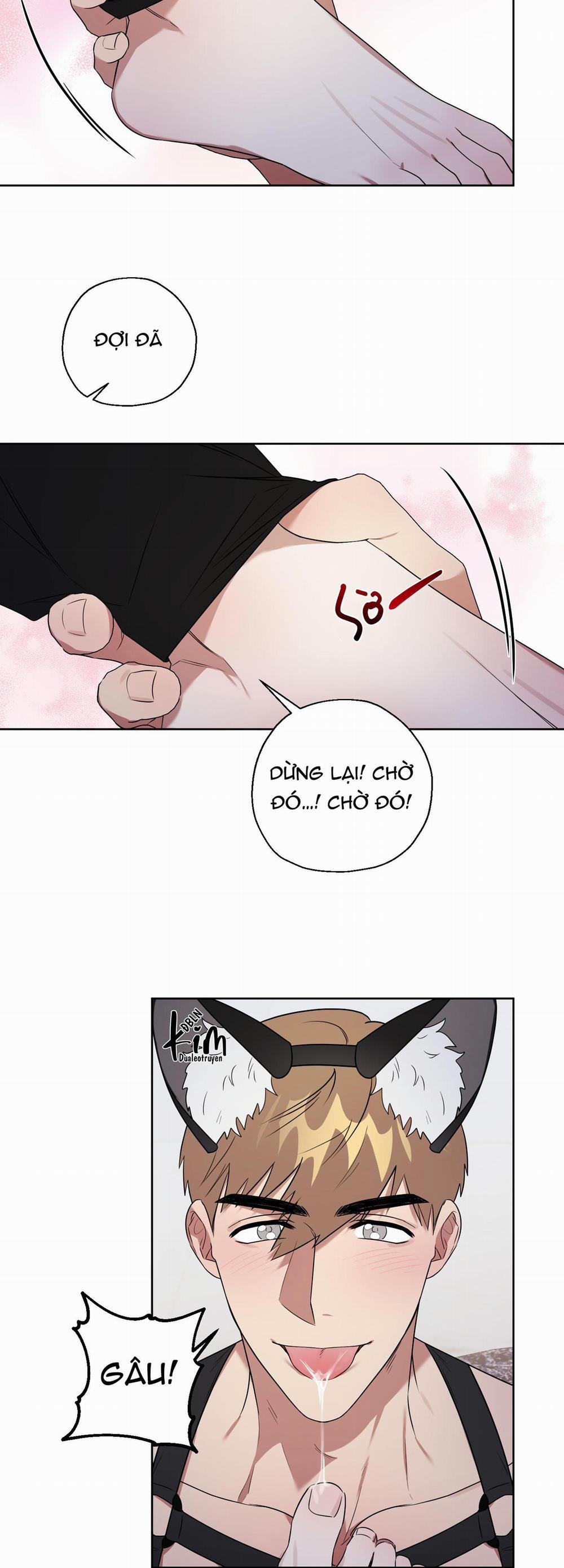 TRỢ GIẢNG ƠI, BỊ LỪA RỒI 8 trang 17