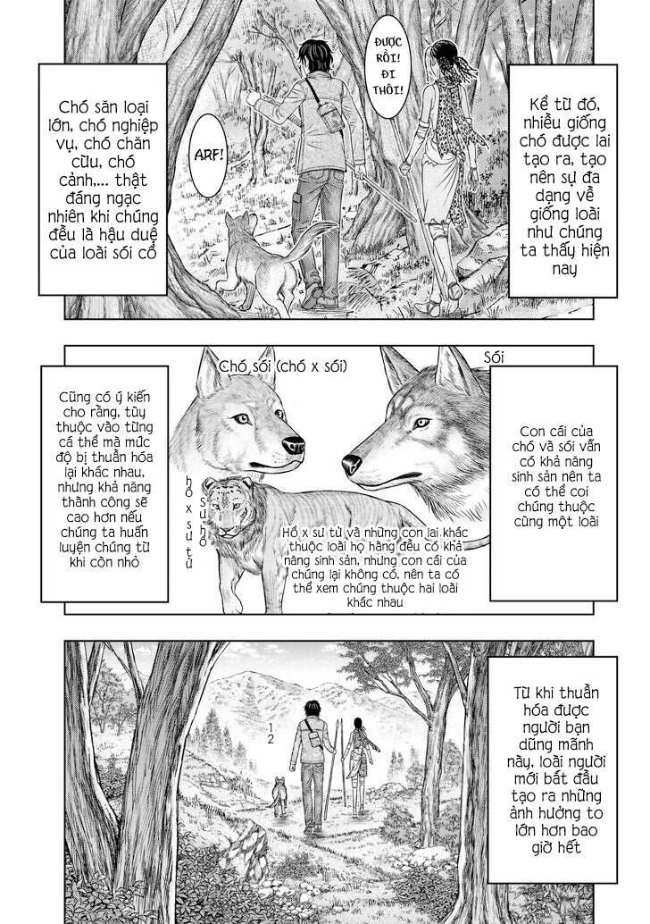 Trở Lại Thời Kì Đồ Đá 24 trang 6