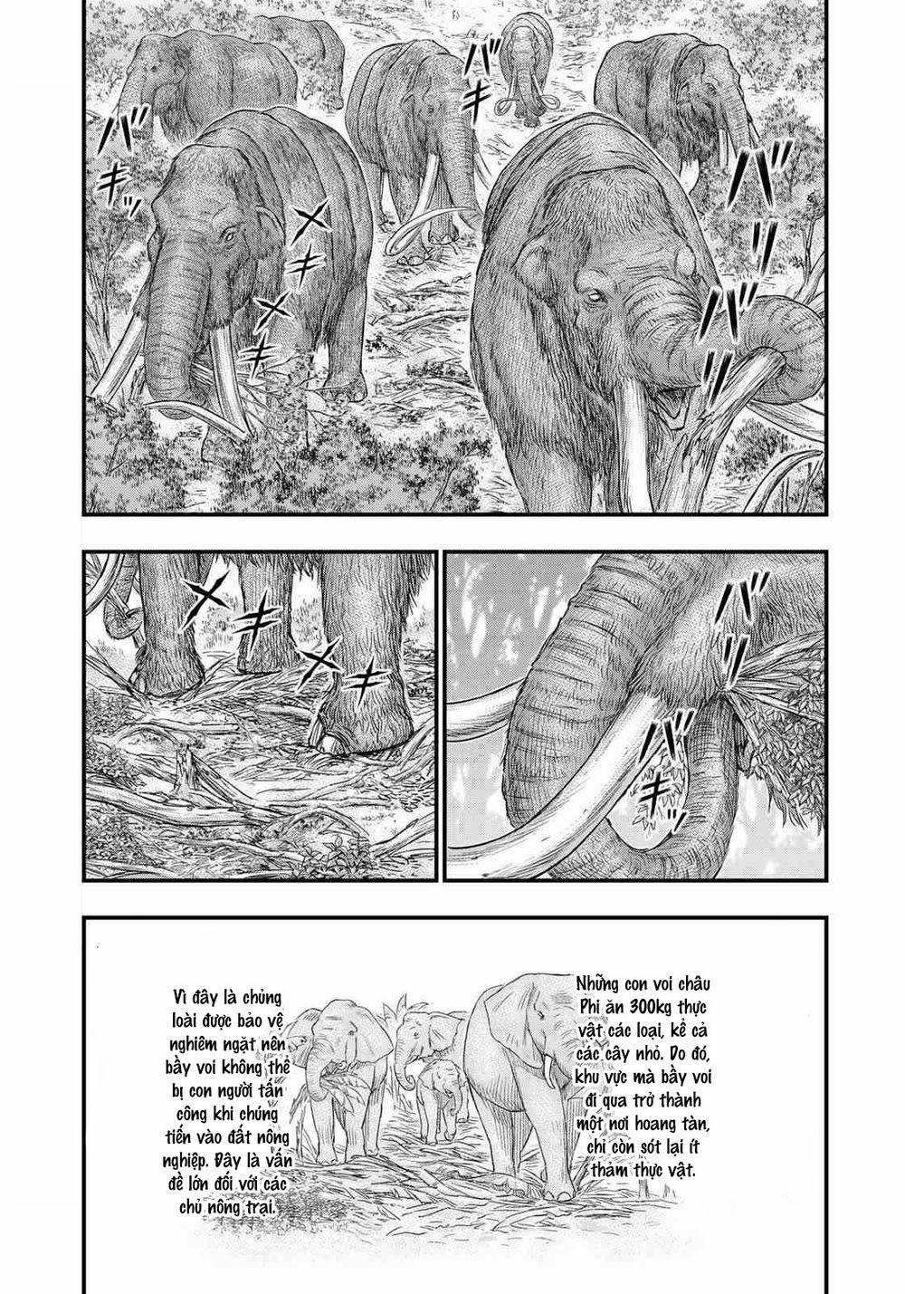 Trở Lại Thời Kì Đồ Đá 40 trang 14