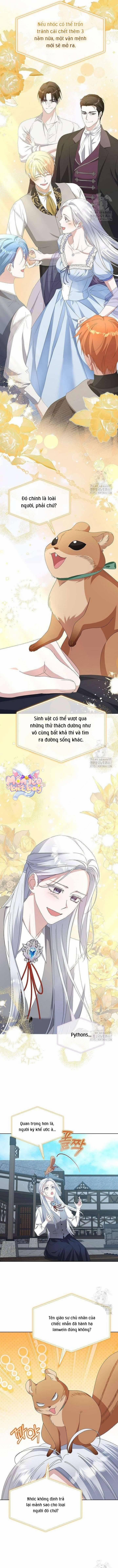 Trở Thành Con Gái Nuôi Của Gia Tộc Sát Thủ 60 trang 5