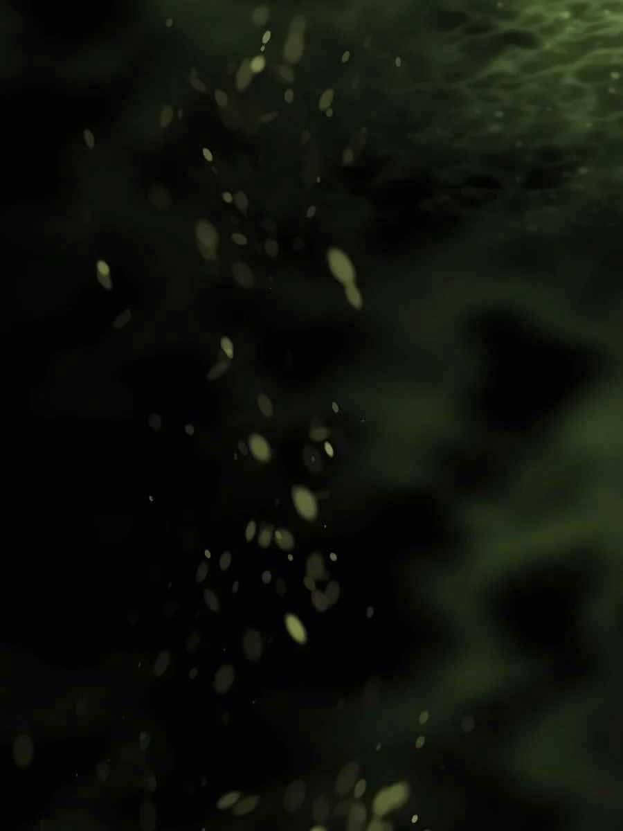 Trở Thành Nhân Viên Cho Các Vị Thần 18 trang 126