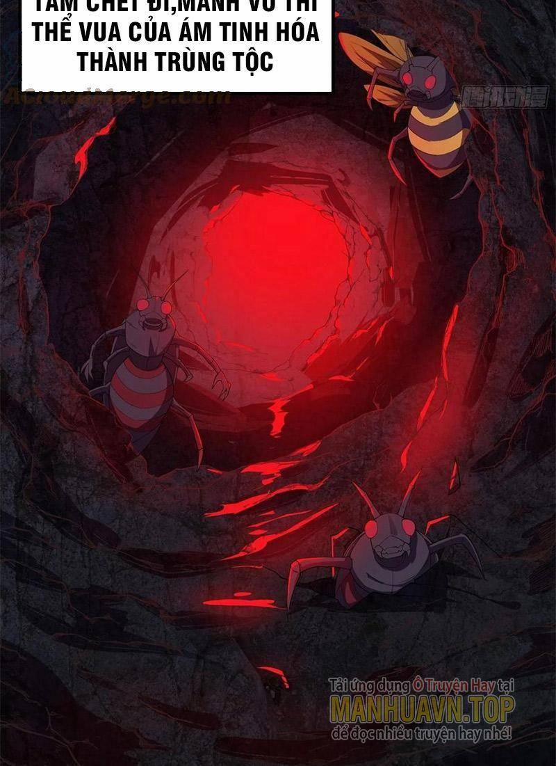 Trở Về Làm Đại Lão Thời Mạt Thế 282 trang 5