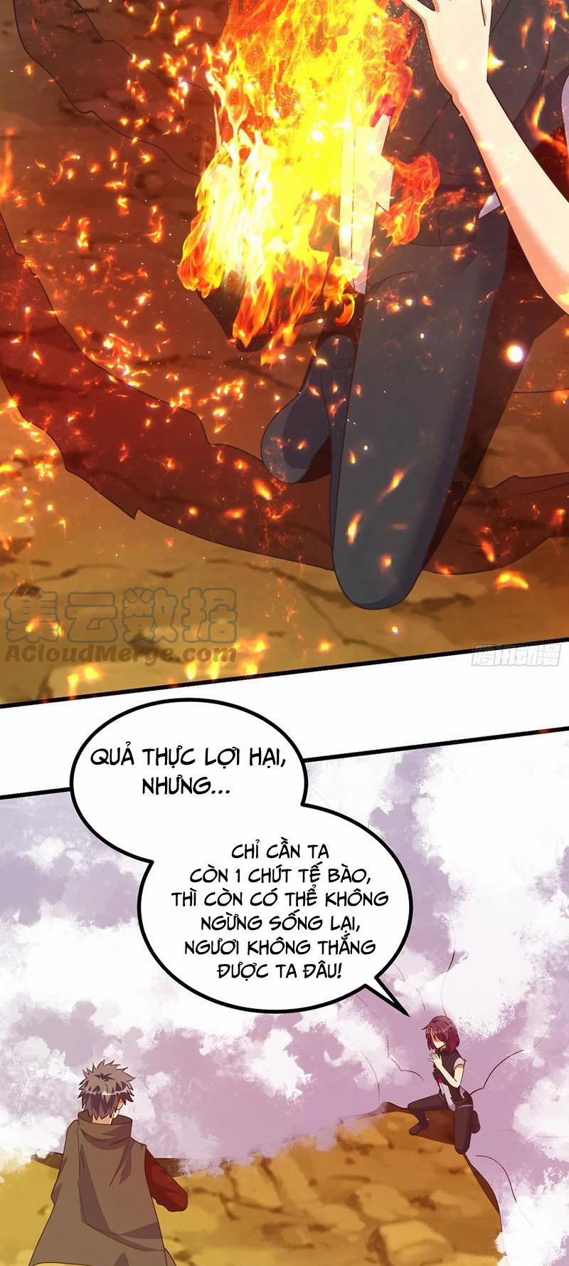 Trở Về Làm Đại Lão Thời Mạt Thế 293 trang 8