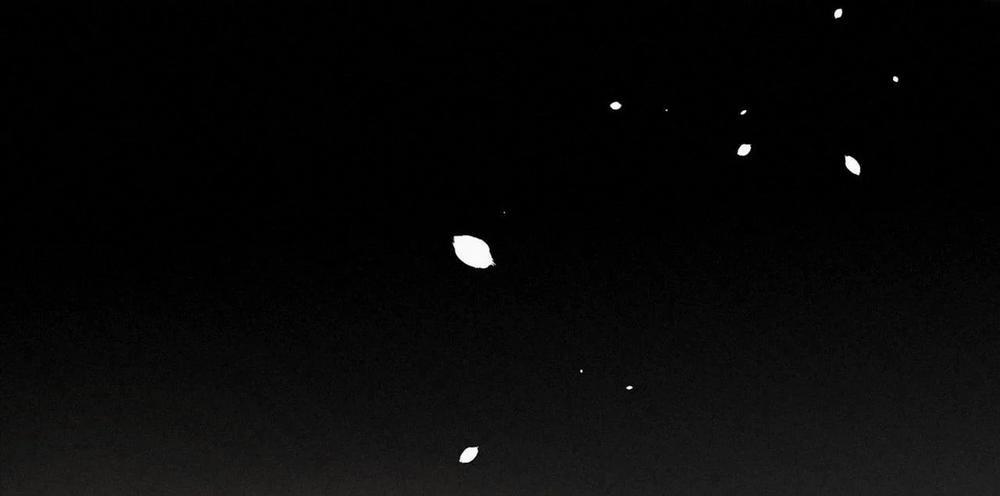 Trỗi Dậy Từ Tro Tàn 15 trang 14