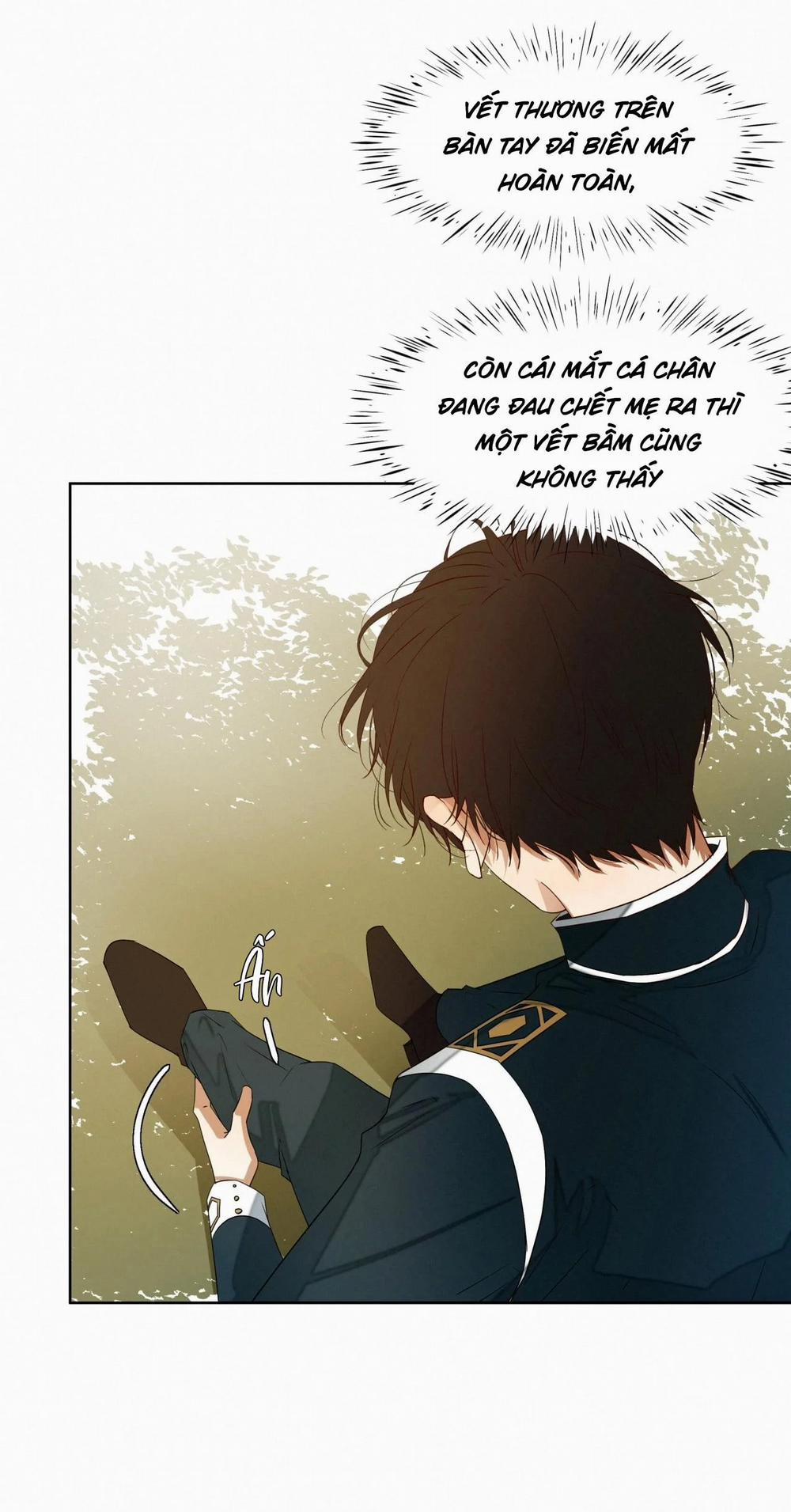 Trỗi Dậy Từ Tro Tàn 16 trang 11