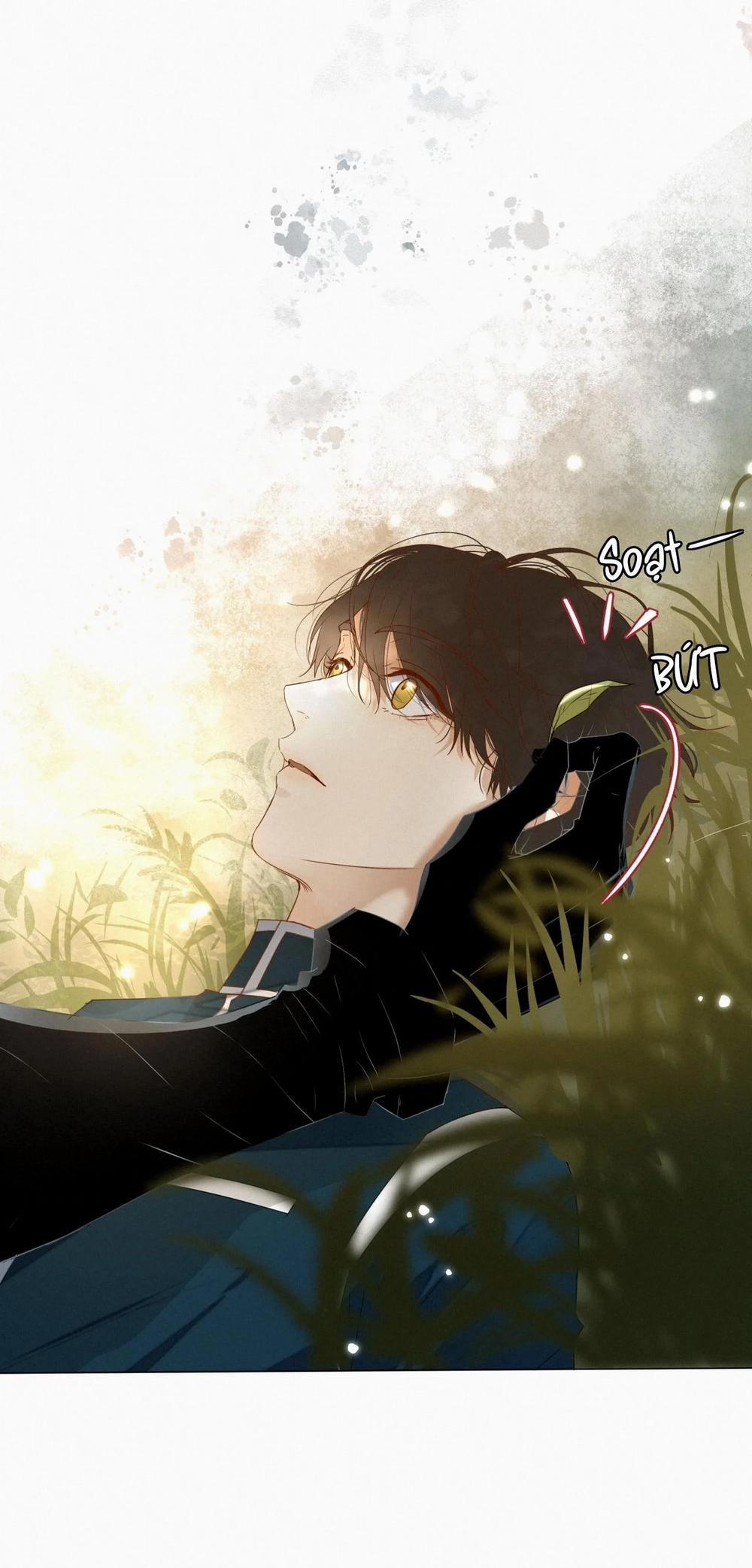 Trỗi Dậy Từ Tro Tàn 16 trang 4