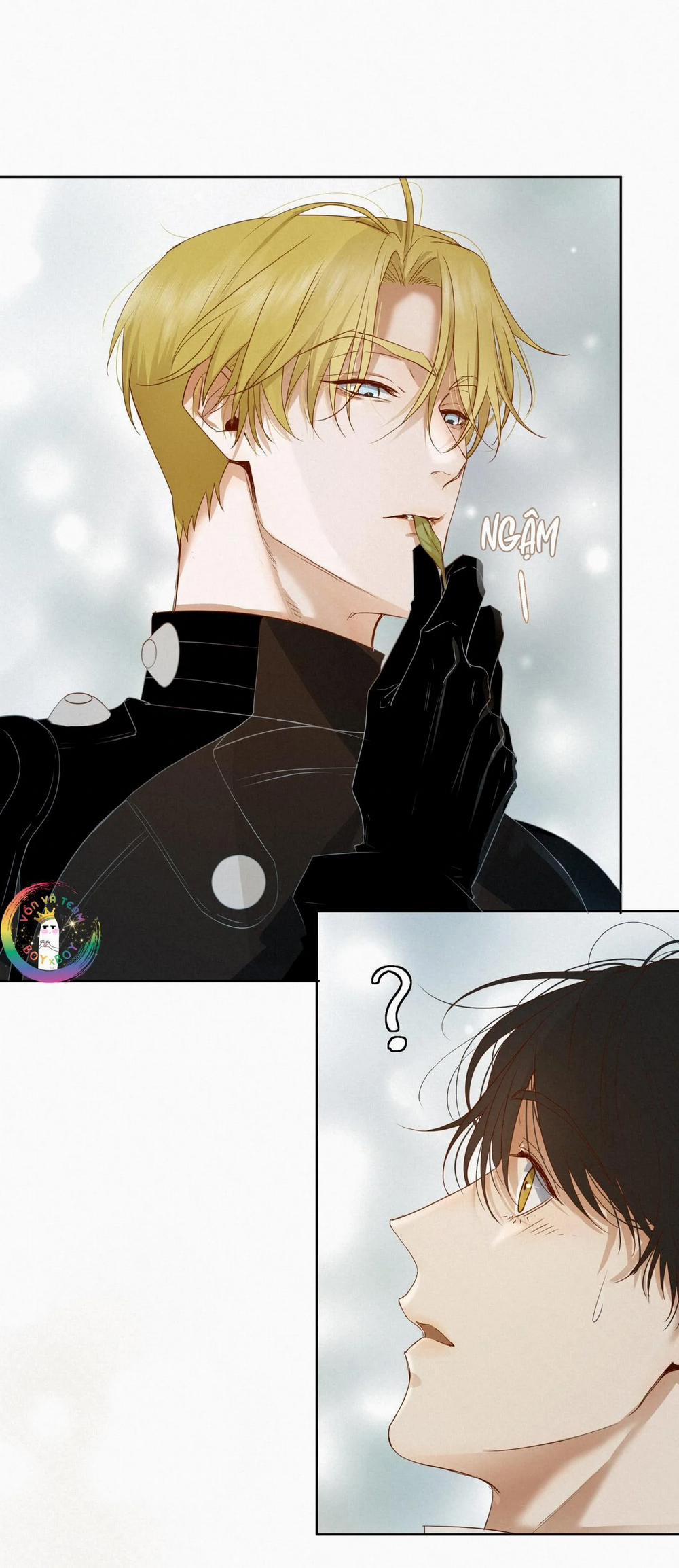 Trỗi Dậy Từ Tro Tàn 16 trang 5