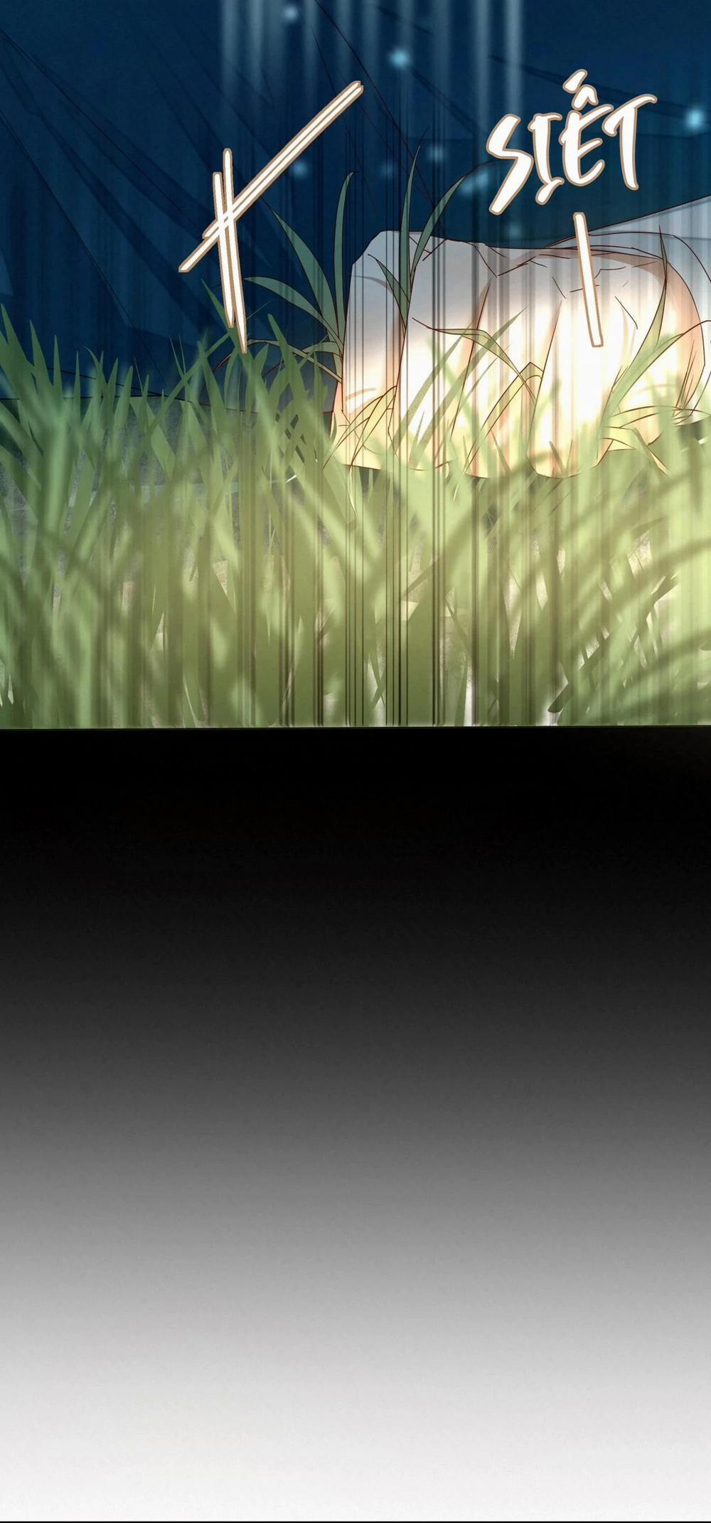 Trỗi Dậy Từ Tro Tàn 16 trang 9