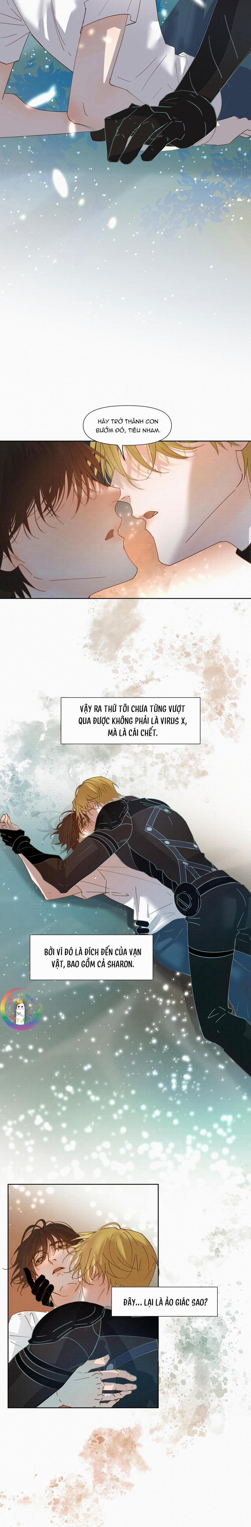 Trỗi Dậy Từ Tro Tàn 73 trang 12