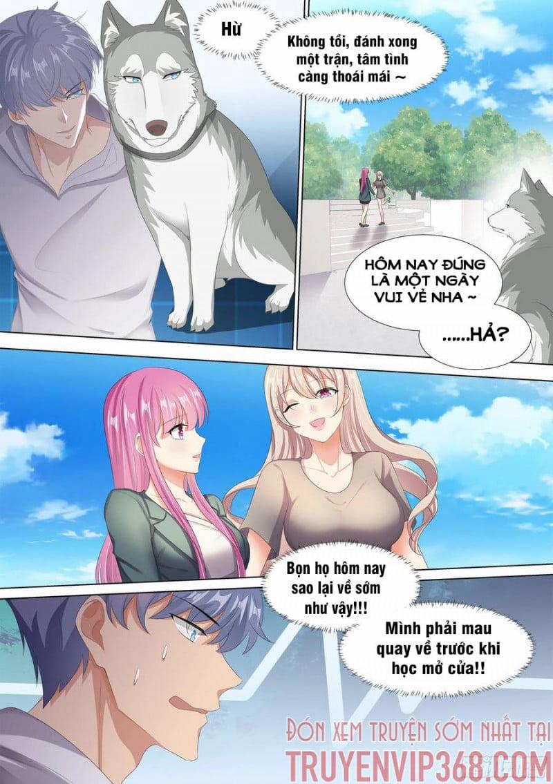 Trọng Sinh Thành Chó Của Nữ Thần 10 trang 6