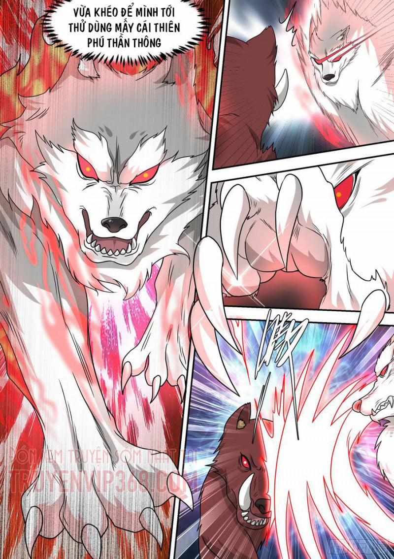 Trọng Sinh Thành Chó Của Nữ Thần 17 trang 9