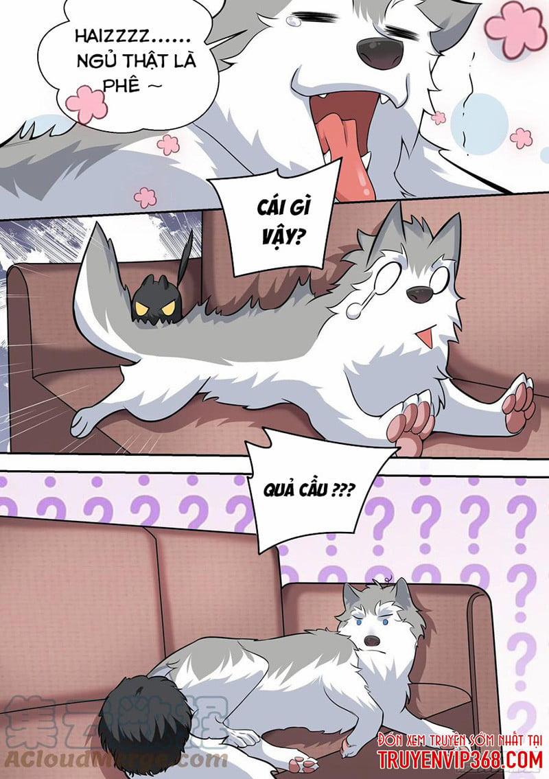Trọng Sinh Thành Chó Của Nữ Thần 49 trang 4