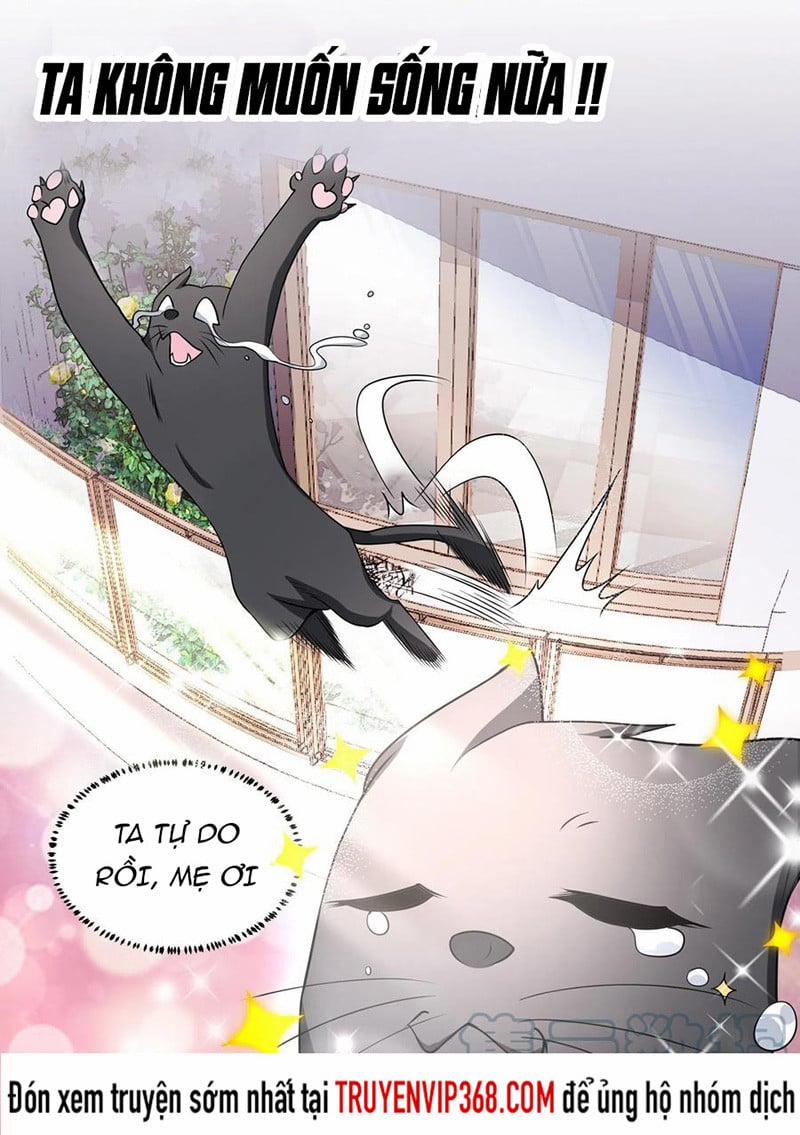 Trọng Sinh Thành Chó Của Nữ Thần 50 trang 4