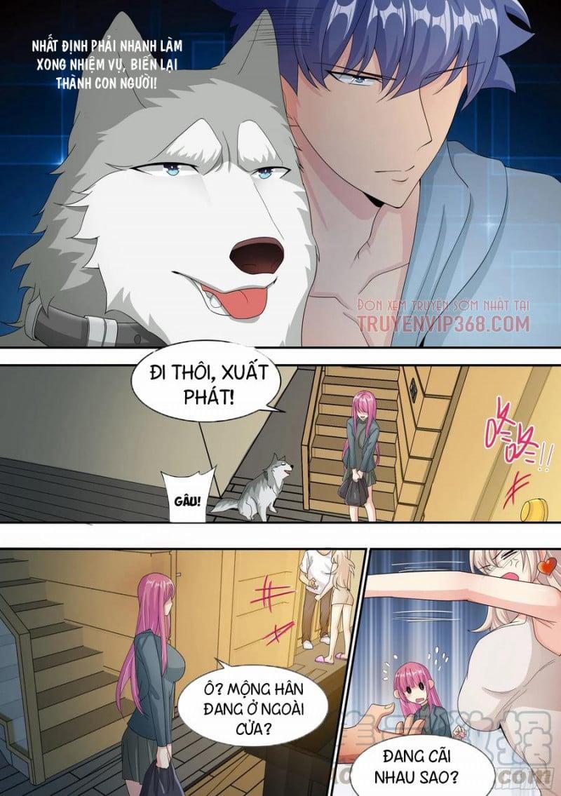 Trọng Sinh Thành Chó Của Nữ Thần 7 trang 16
