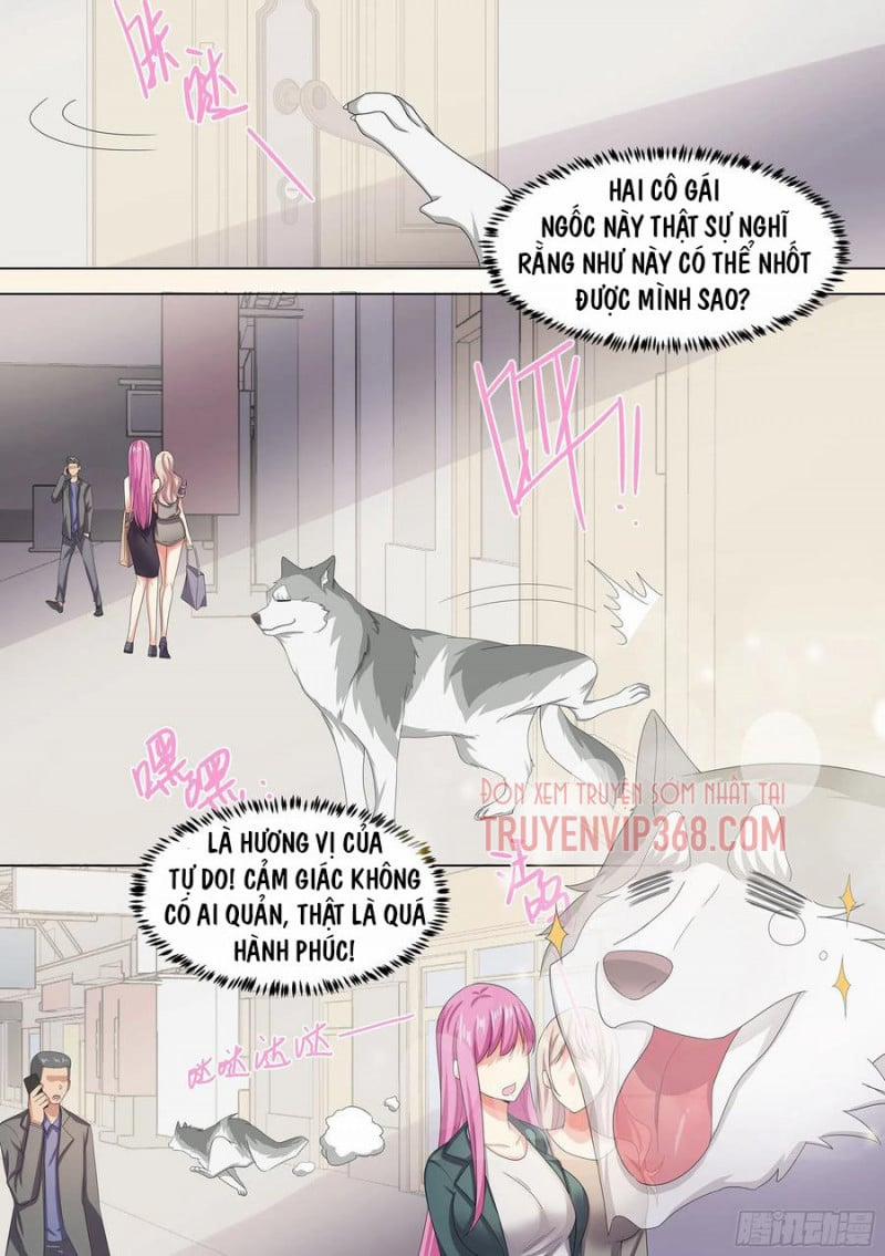 Trọng Sinh Thành Chó Của Nữ Thần 9 trang 11
