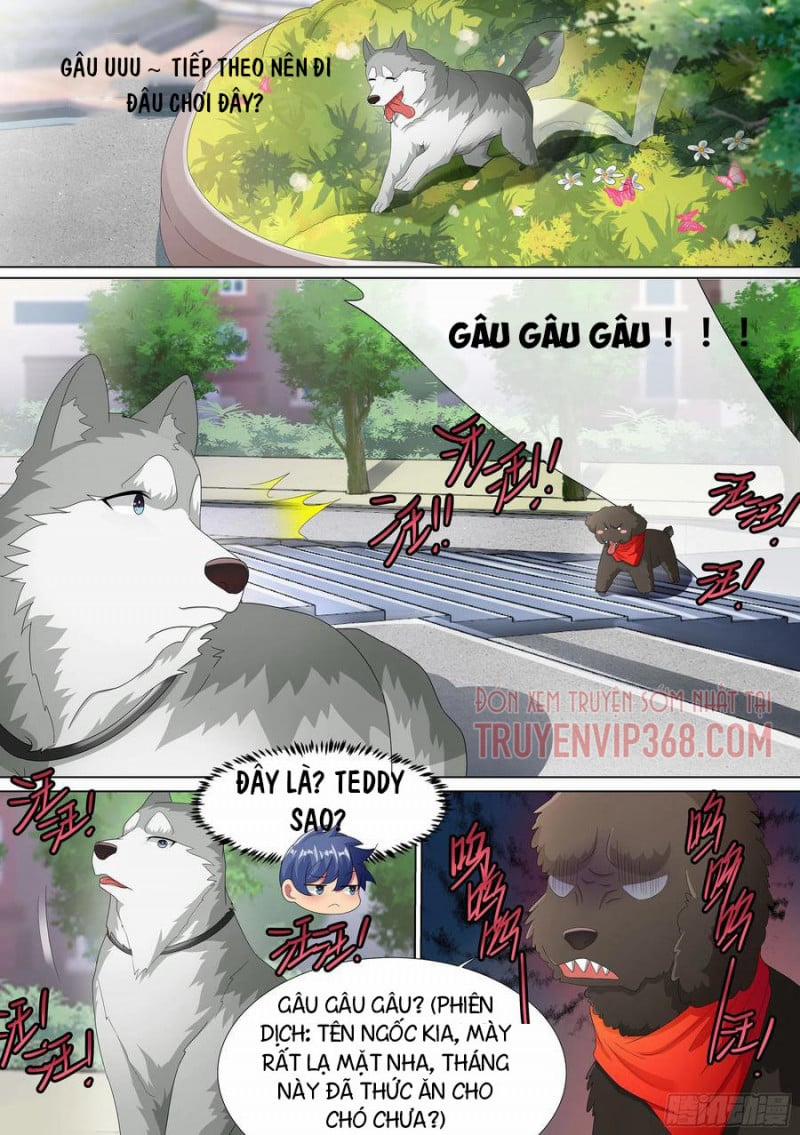 Trọng Sinh Thành Chó Của Nữ Thần 9 trang 13