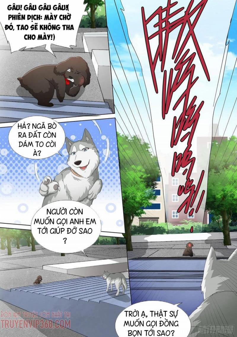 Trọng Sinh Thành Chó Của Nữ Thần 9 trang 17