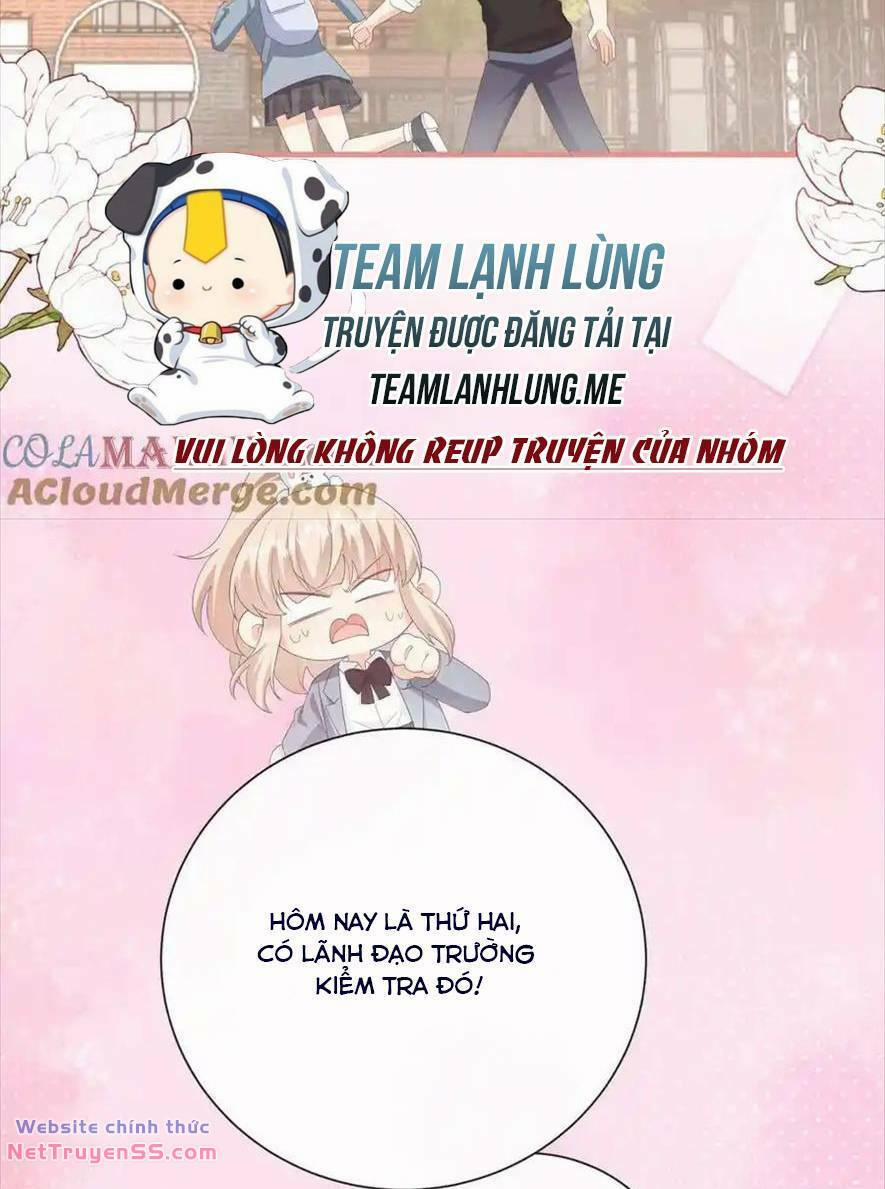 Trọng Sinh Trở Lại Làm Vợ Tổng Tài Chương 101 Trang 28