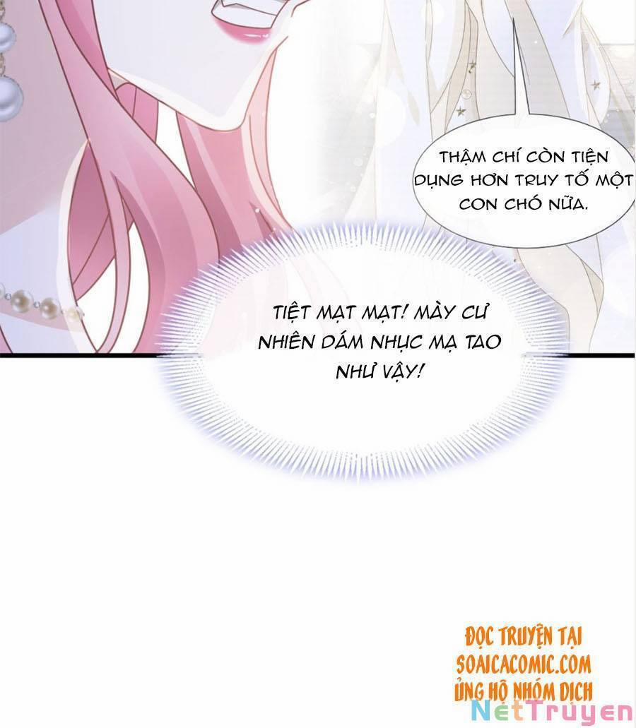 Trọng Sinh Trở Thành Món Tráng Miệng Của Tổng Tài Ma Cà Rồng 43.1 trang 6