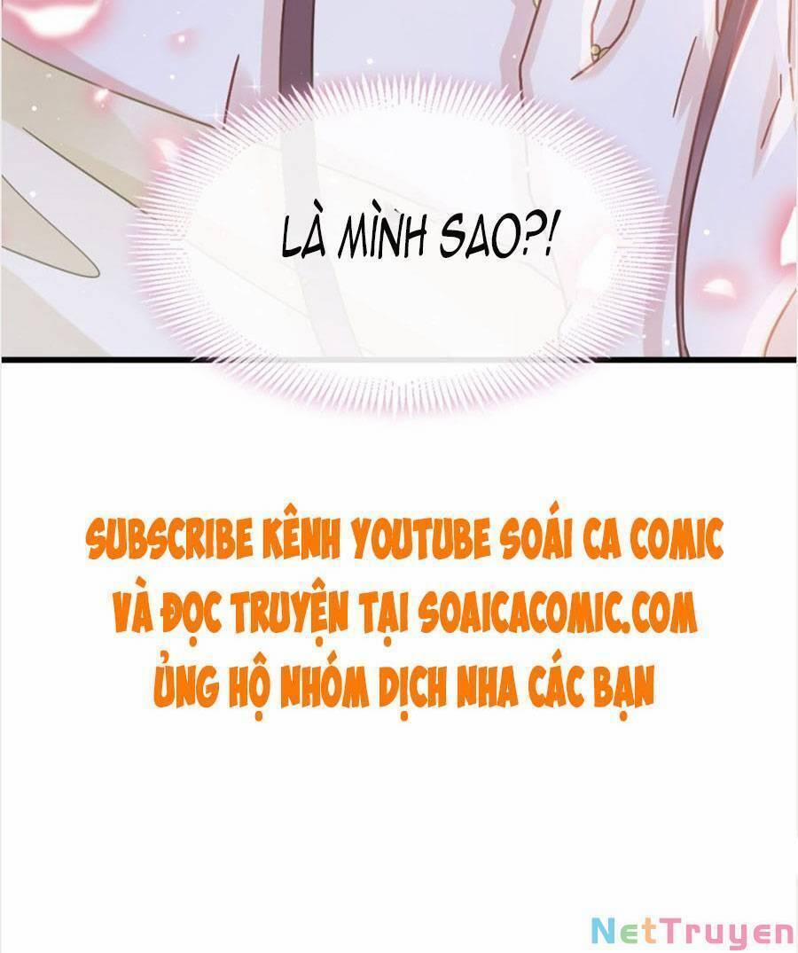 Trọng Sinh Trở Thành Món Tráng Miệng Của Tổng Tài Ma Cà Rồng 43.2 trang 14