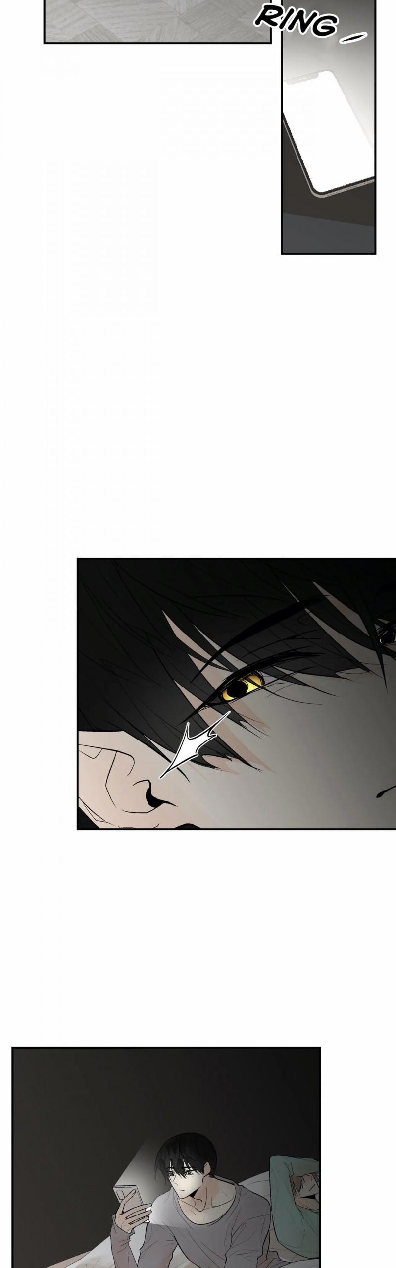 Trú Ẩn (Haven) 28.5 trang 2