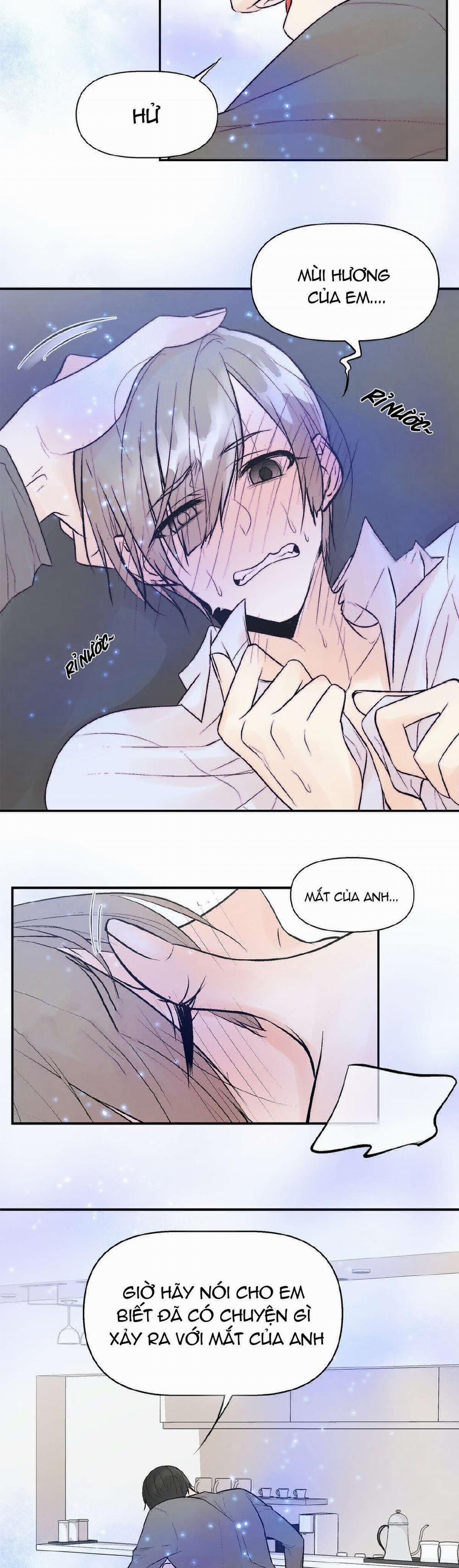 Trú Ẩn (Haven) 5 trang 1