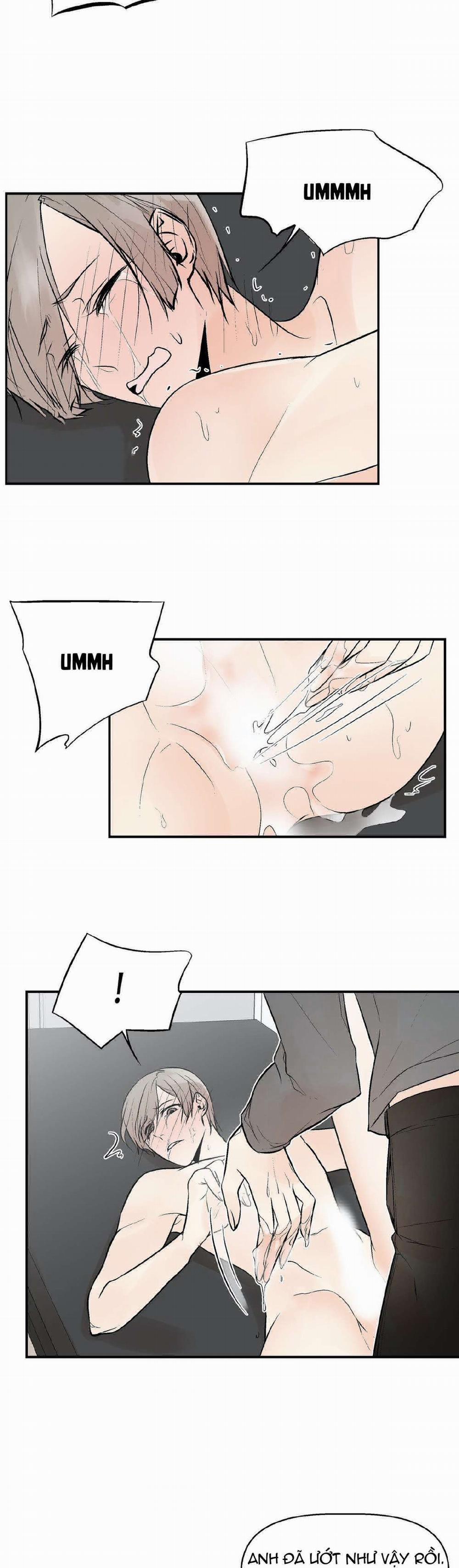 Trú Ẩn (Haven) 5 trang 13