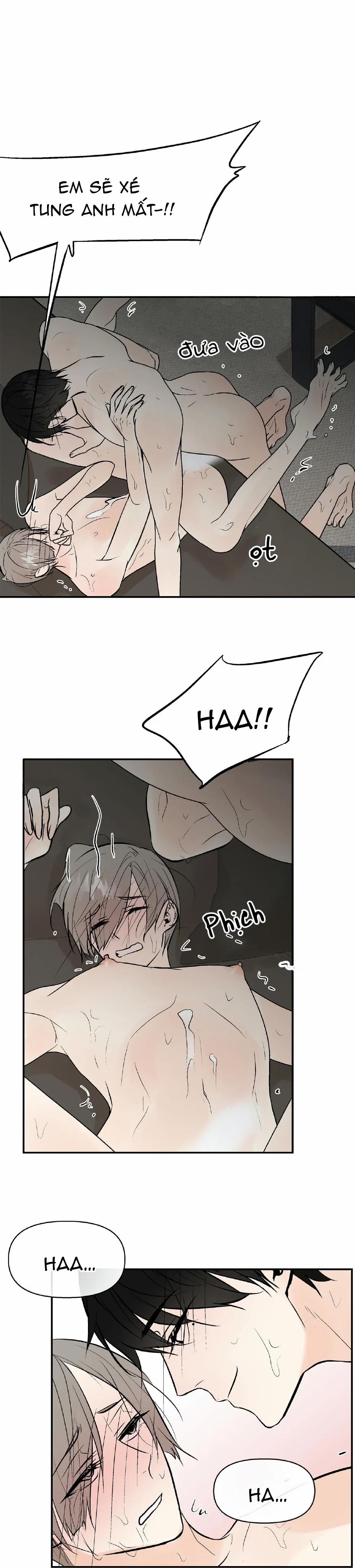 Trú Ẩn (Haven) 8 trang 17