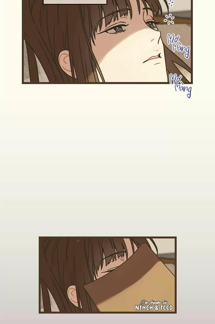 Trùng Phùng 3.5 trang 4