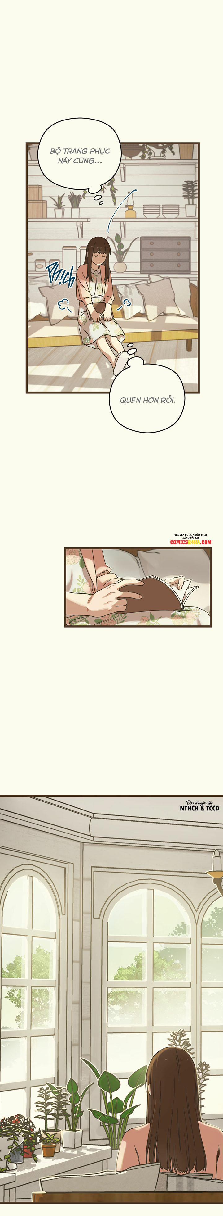 Trùng Phùng 3 trang 19