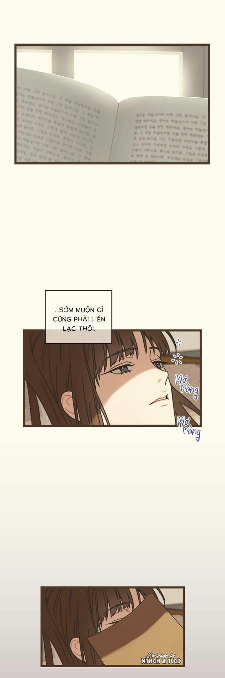 Trùng Phùng 3 trang 22