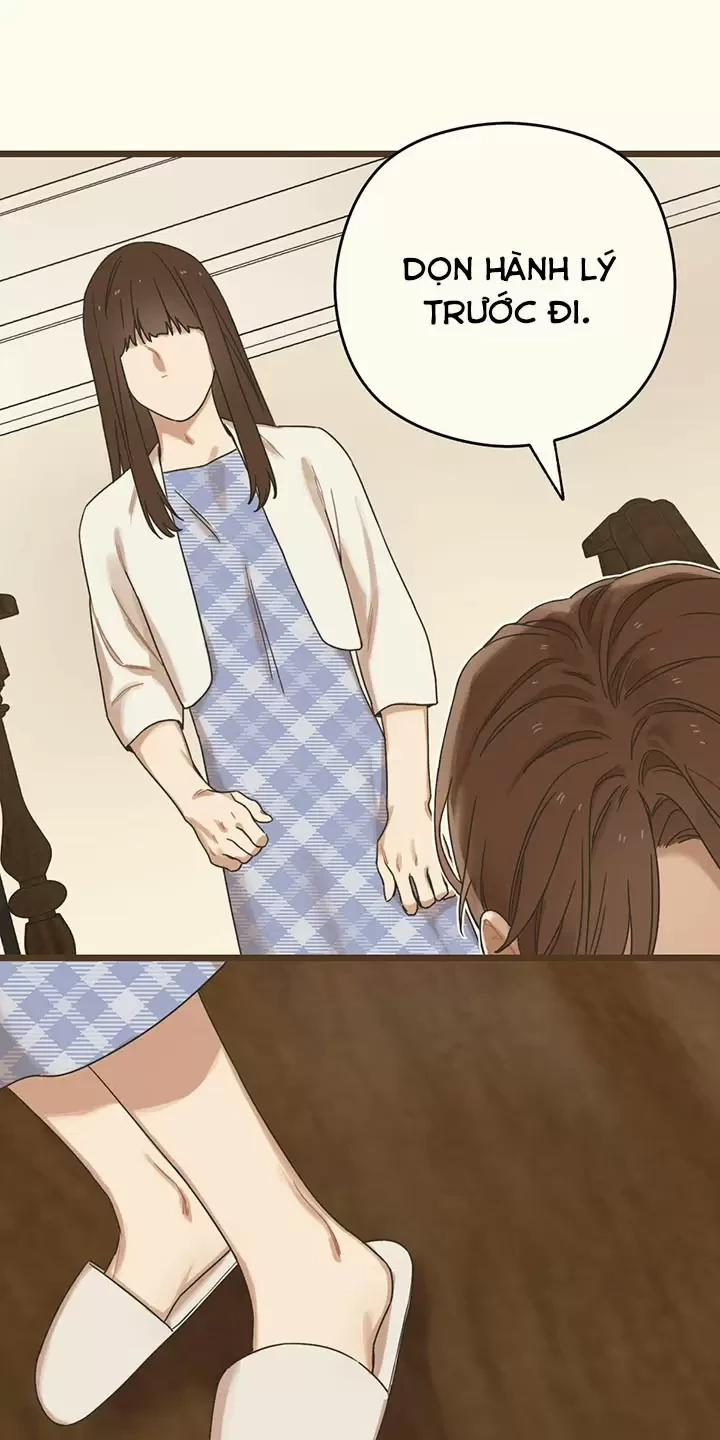 Trùng Phùng 4.5 trang 5