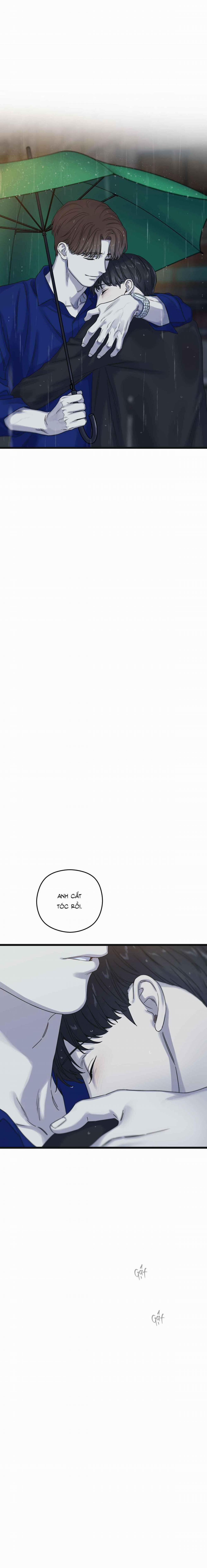 Trùng Phùng 50 trang 22