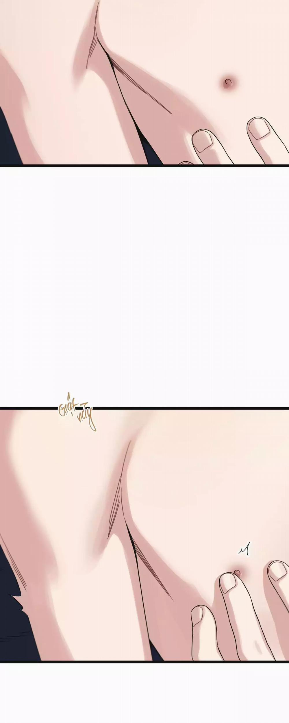 Trùng Phùng 51 trang 12