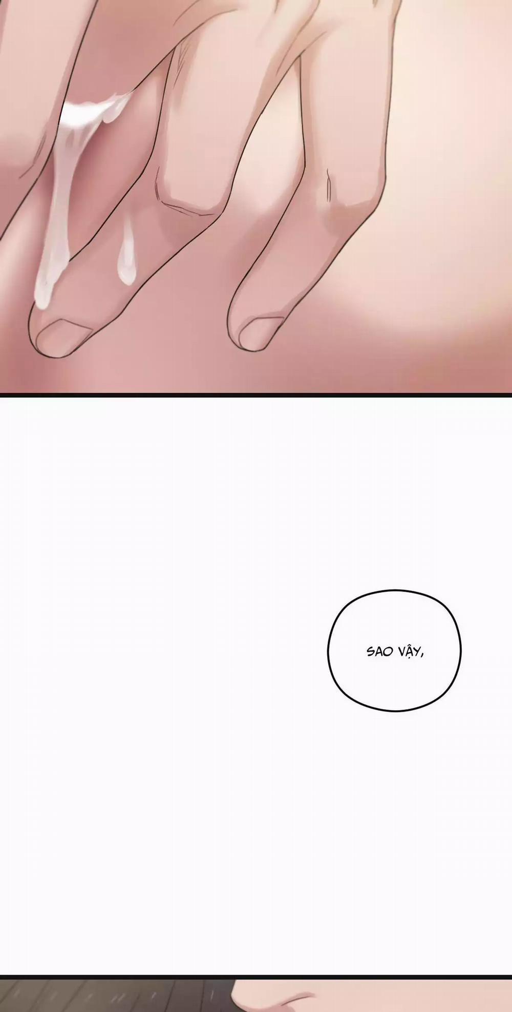 Trùng Phùng 51 trang 41