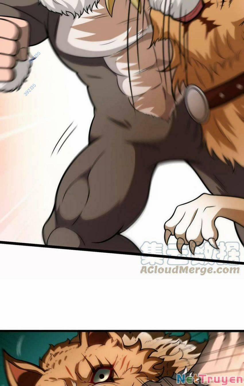 Trùng Sinh Thành Godzilla 21 trang 17