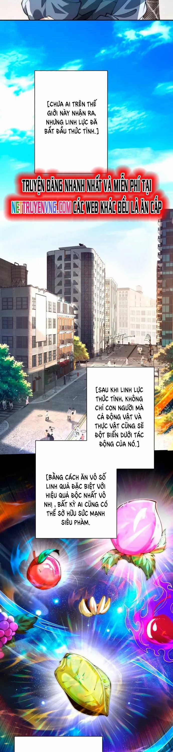 Trùng Sinh: Tôi Đứng Top Nhờ Hệ Thống Gian Lận 1 trang 11