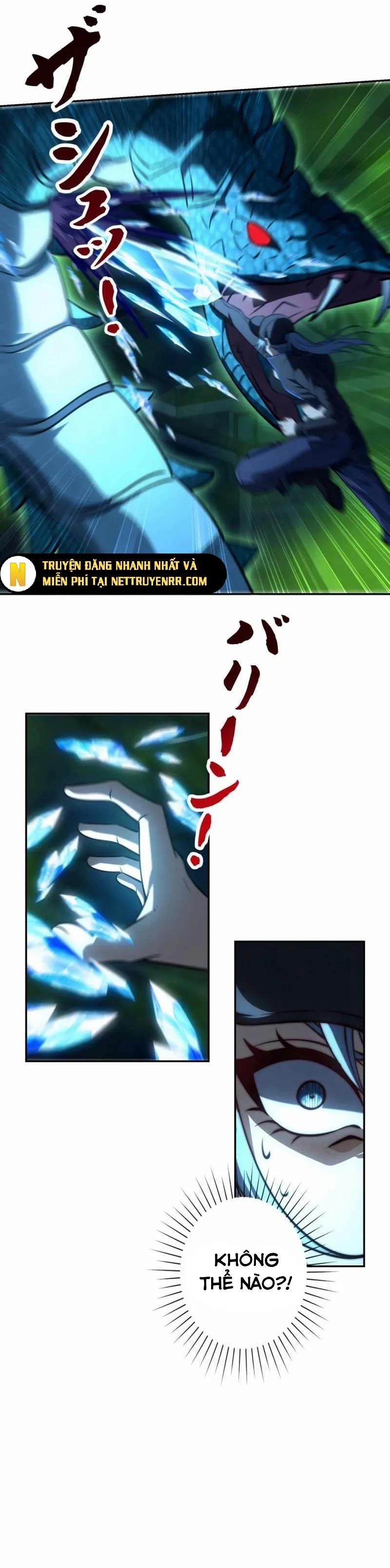 Trùng Sinh: Tôi Đứng Top Nhờ Hệ Thống Gian Lận 6 trang 11
