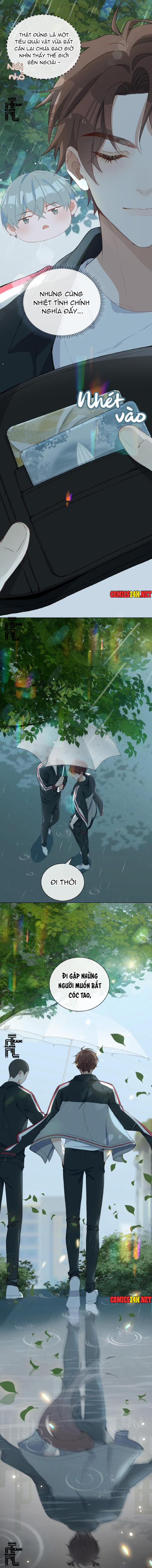 Trường Cấp Ba Sơn Hải 1 trang 11