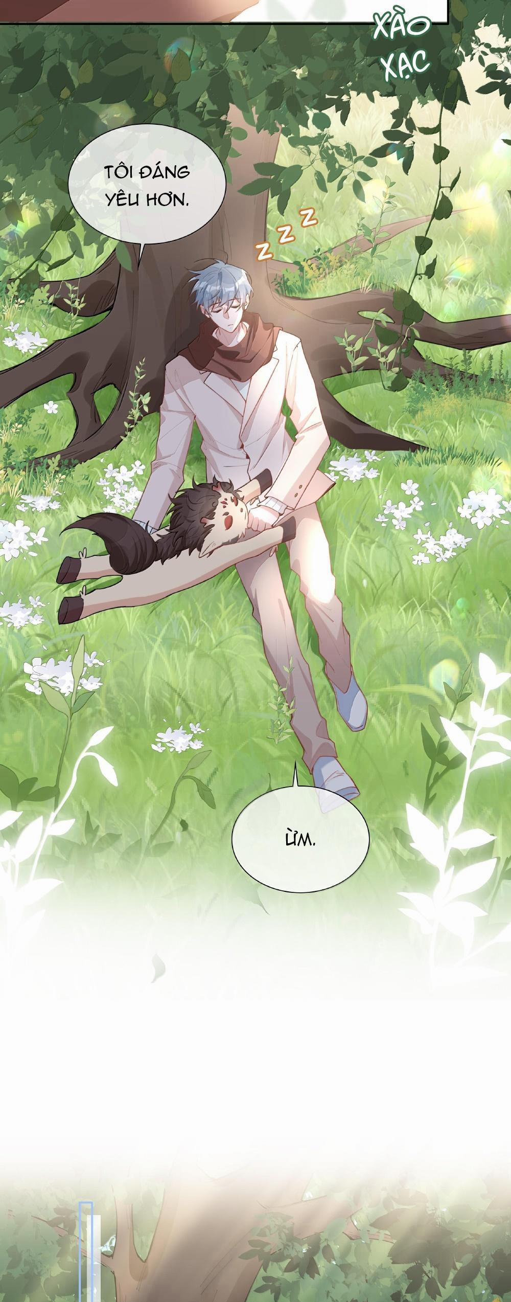 Trường Cấp Ba Sơn Hải 101 trang 13